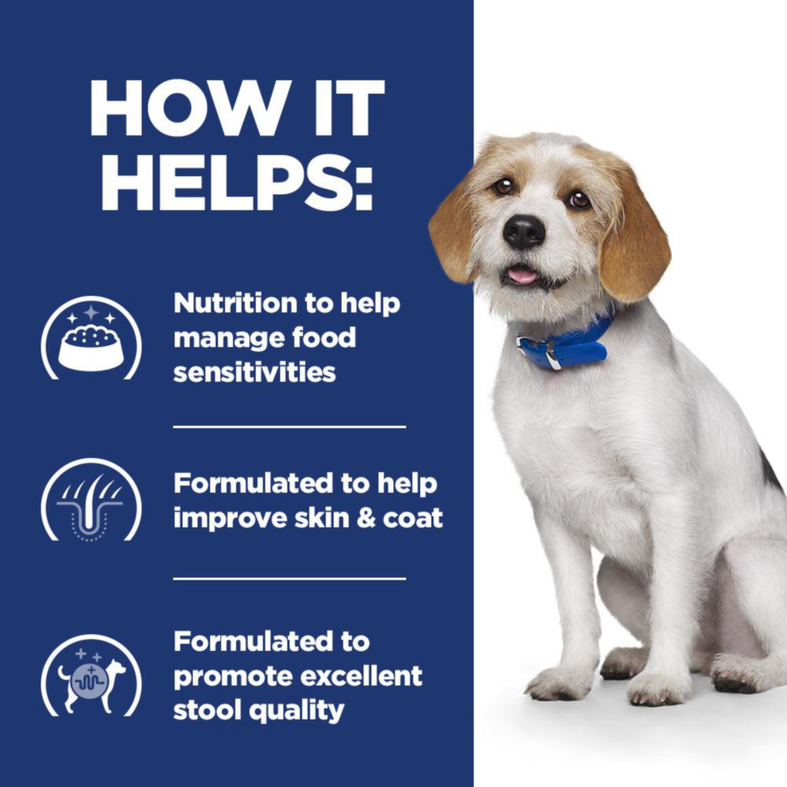 Hill's PD Z/D Dry Dog Food 3kg➠Next Day Delivery by 7pm